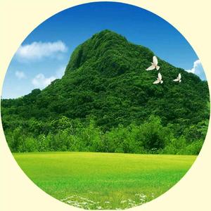 饮马啸长空 头像