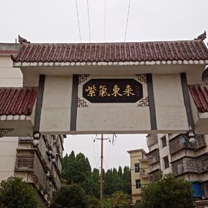 樵夫杂谈