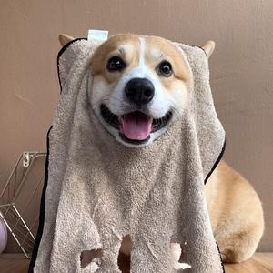 小短腿奶糕 头像