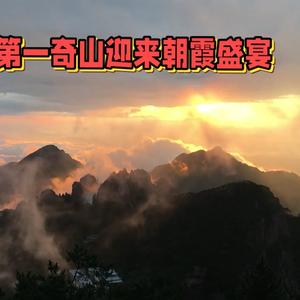 智慧山221头像