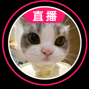 清枫动物园 头像