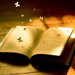 满分的秘籍 头像