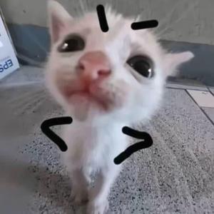 某安不喜欢吃肉 头像