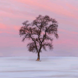 勇哥金典音乐 头像