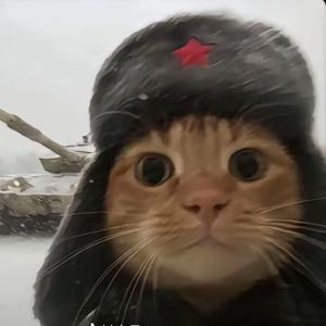 迪迪爱游戏 头像