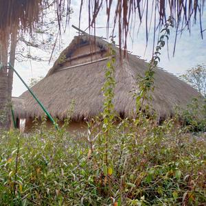 飞鱼谈教育 头像