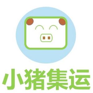 小猪集运 头像