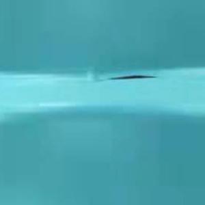 上进的书签 头像