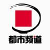 河南都市频道 头像