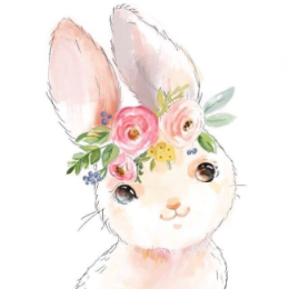 小雨不是小语 头像