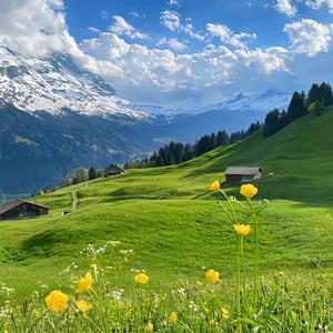 生活小集锦 头像