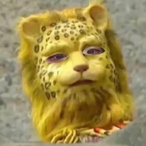 猫渔渔 头像