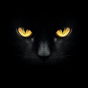 冷眼看人心 头像