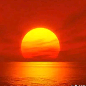 森林阳光5L0z 头像