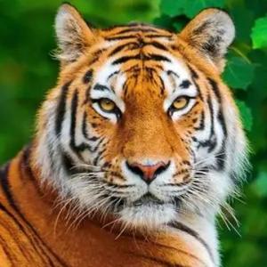 科普盒子o 头像