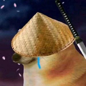 我也是蛋壳 头像