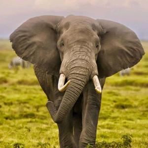 太阳雨的美食 头像