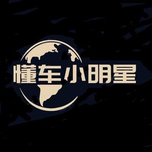 懂车小明星 头像