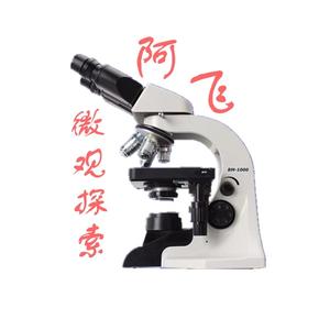 阿飞微观探索 头像