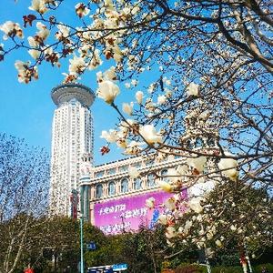润无声韵