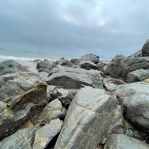 大清朝要王了 头像