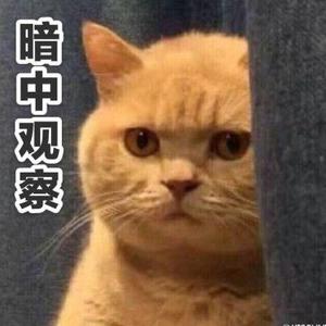 房价洼地VS库存压顶！2025石家庄楼市走向全解析 - 今日头条