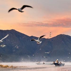 辩论赛分享者 头像