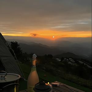 正能量的犀牛 头像