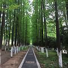 山上的风