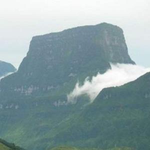 易点传统文化 头像