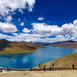 河马票务APP 头像