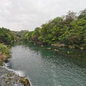 皮肤科医生刘志 头像