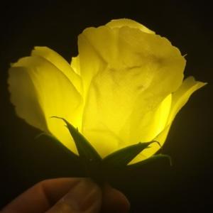 益佳电子SMT 头像