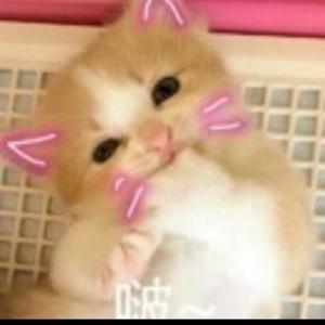 爱情喜欢漫游 头像