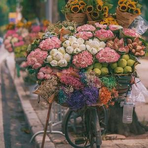 时光机里的杂谈人生 头像