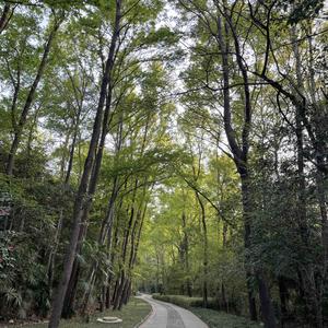 慕容的历史风景 头像