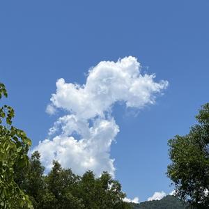 博学生活家0zA 头像