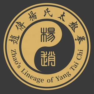 赵传杨氏太极拳 头像