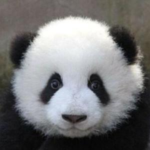 广州地铁线网图“上新”！高清大图来了→ - 今日头条