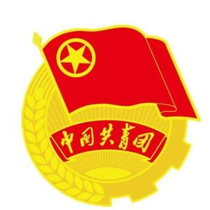 河口共青团 头像