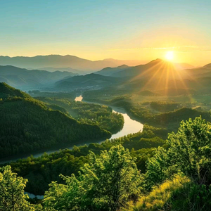 大营看世界 头像