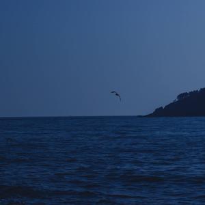 灿烂鲸鱼ZTk71TA 头像