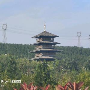 邯郸文曲星 头像