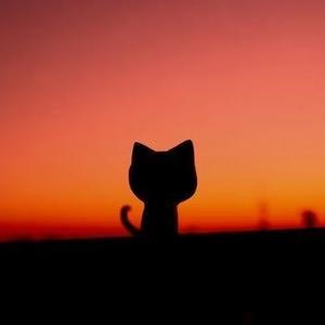 周边一日游 头像