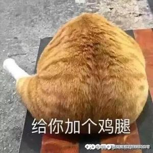 伍豪之劍头像