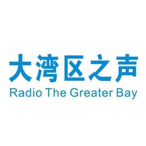 大湾区之声 头像