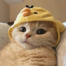 听闻余生有她 头像