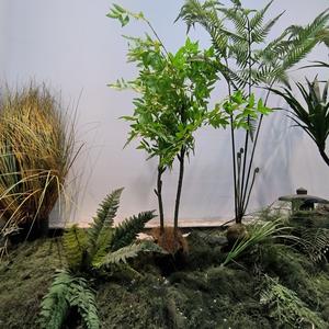 中产鲜僧 头像