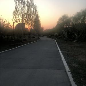 行云知行合一 头像