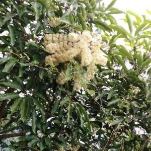 随风动启